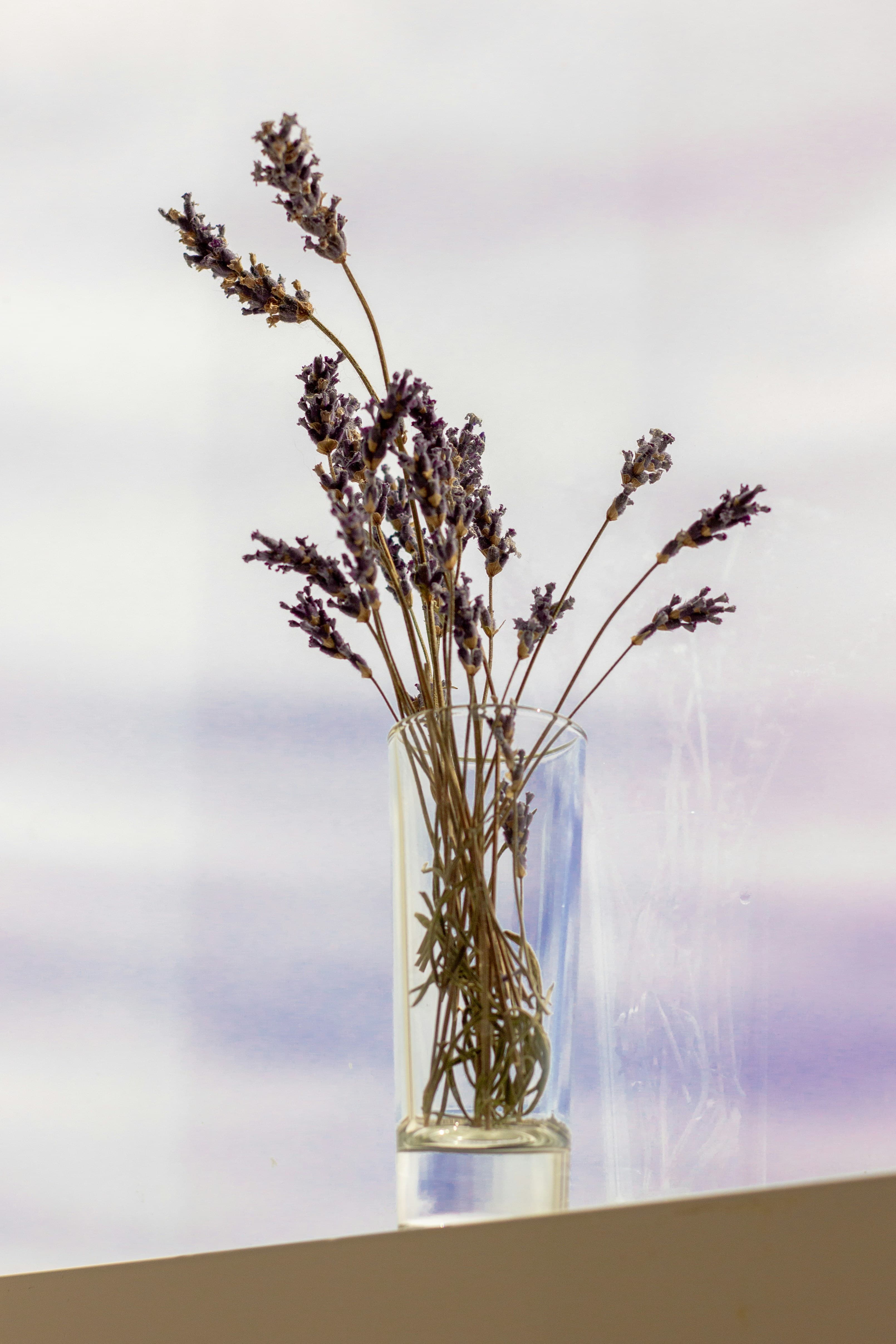 Dried flowers